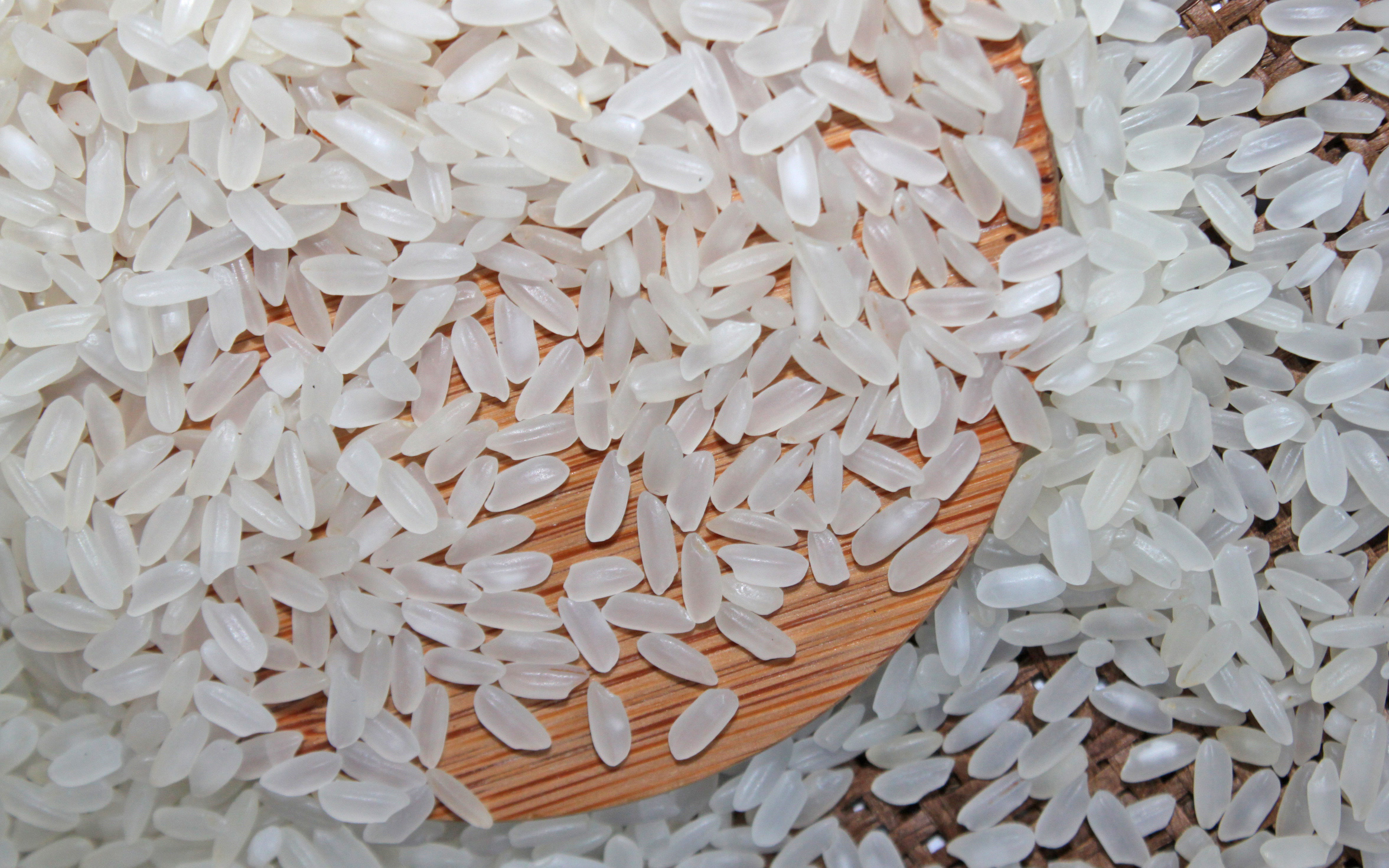  Calrose Rice | Medium Grain Rice 